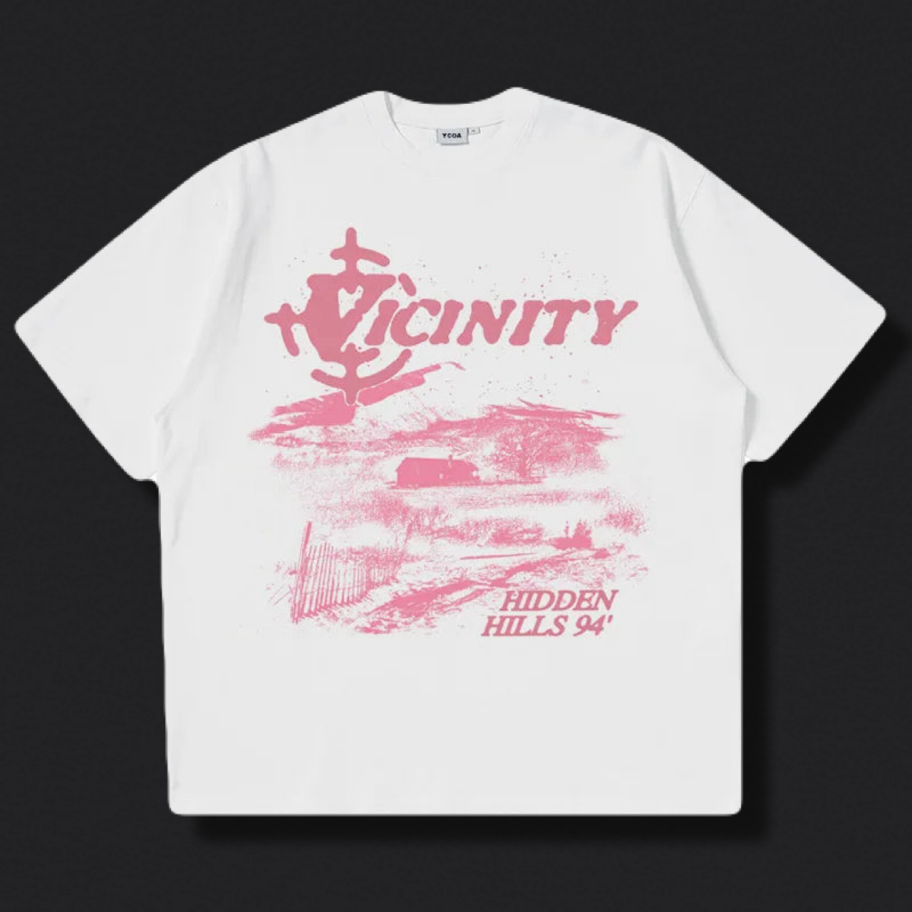 Vicinity